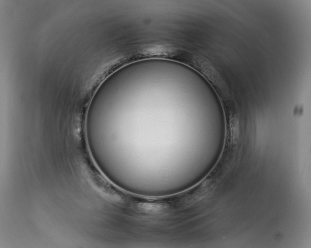 X0000113620255200910021835