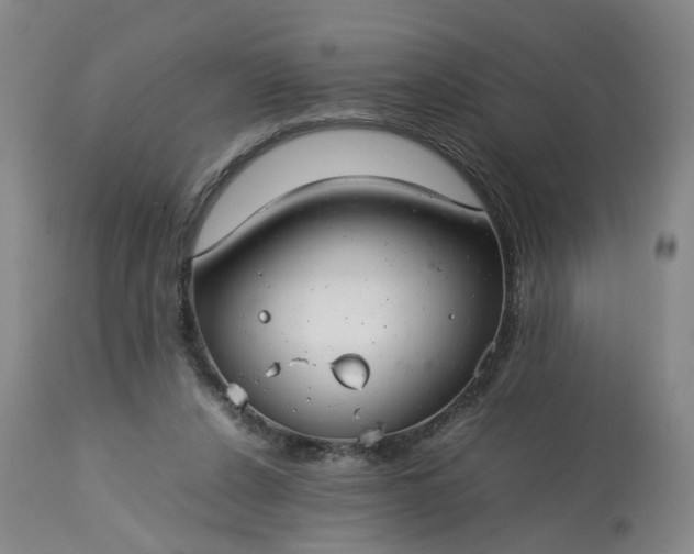 X0000113620256200910021835