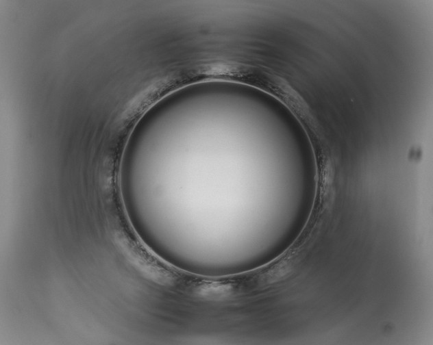 X0000113620257200910021835