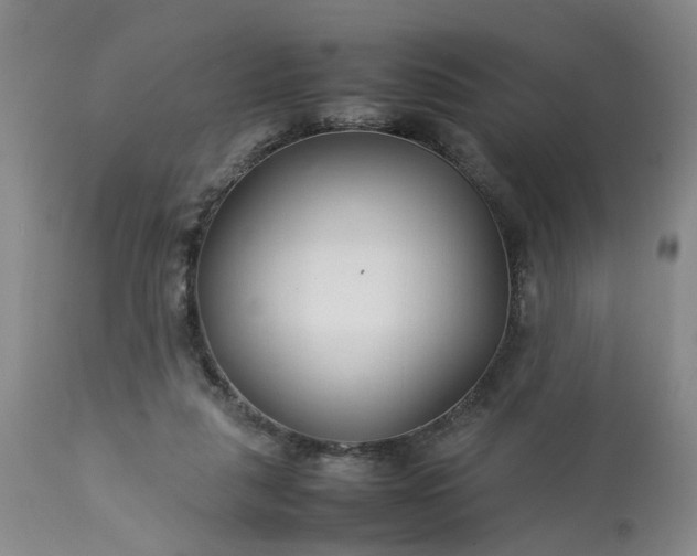 X0000113620259200910021835