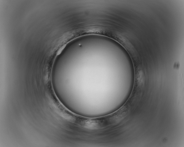 X0000113620261200910021835