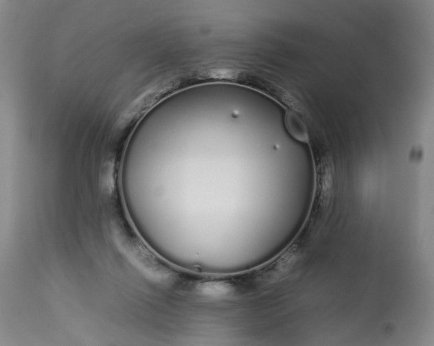 X0000113620262200910021835