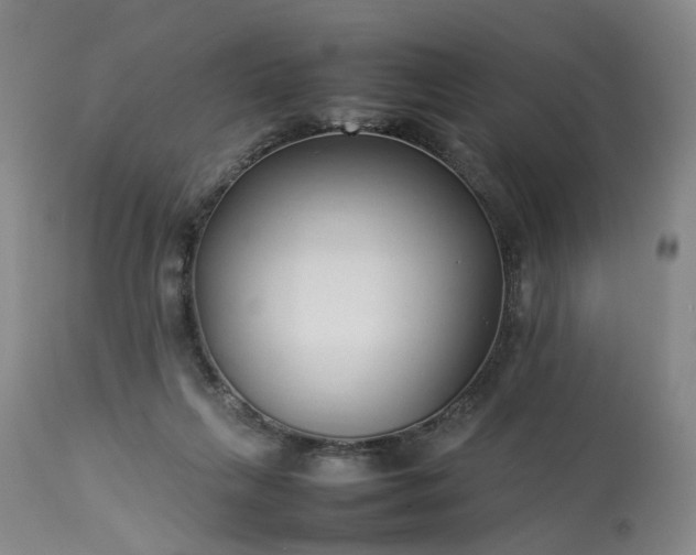 X0000113620263200910021835