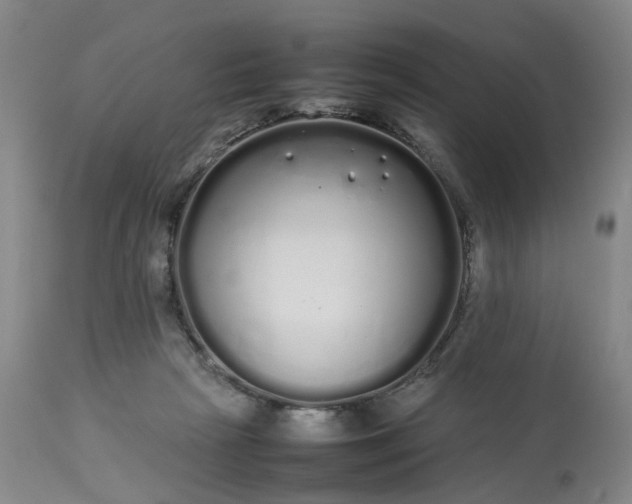 X0000113620265200910021835