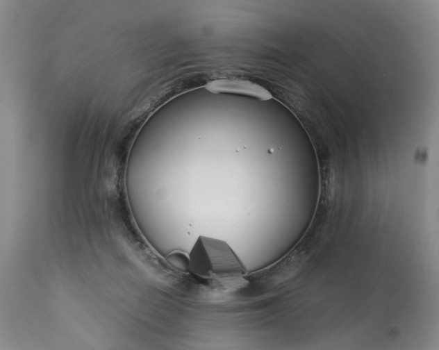 X0000113620266200910021835