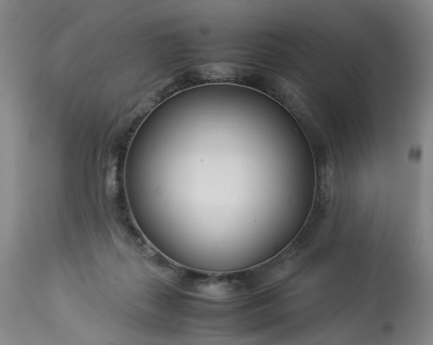 X0000113620267200910021835