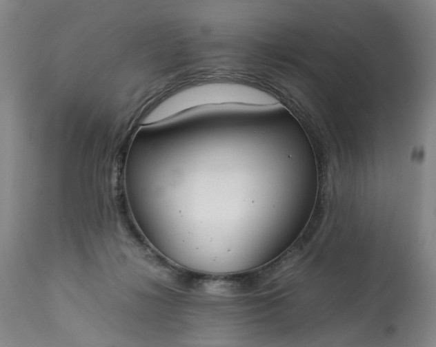 X0000113620268200910021835