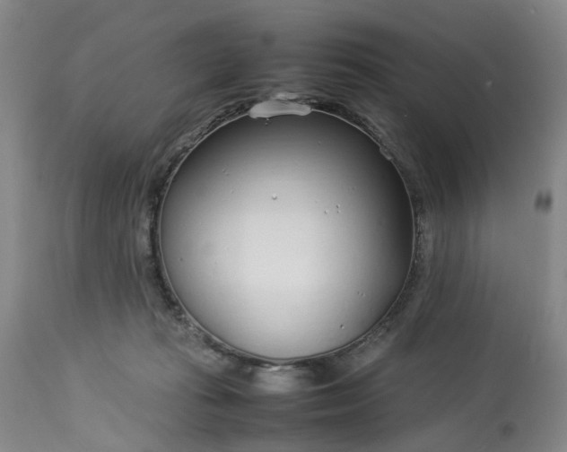 X0000113620269200910021835