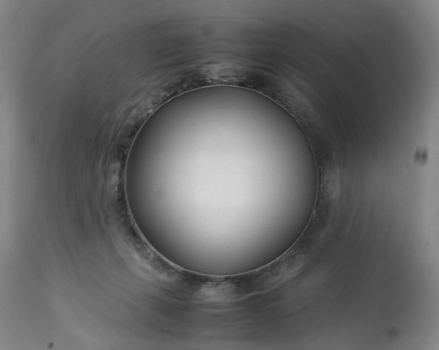 X0000113620271200910021836