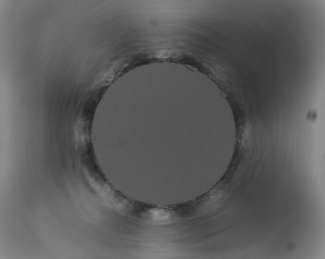 X0000113620272200910021836