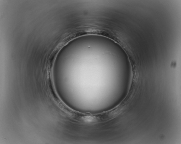 X0000113620273200910021836