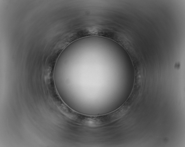 X0000113620275200910021836