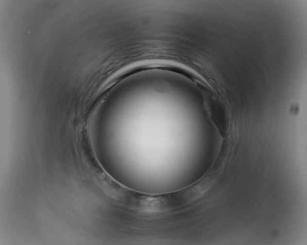 X0000113620277200910021836