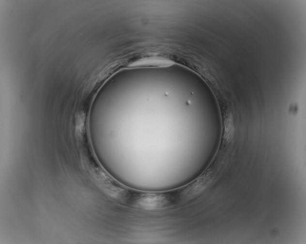 X0000113620278200910021836