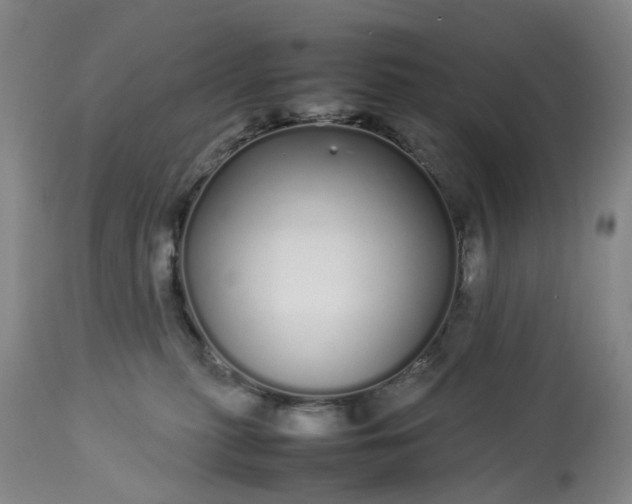 X0000113620279200910021836