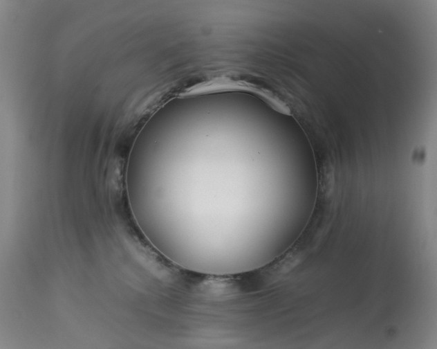 X0000113620280200910021836