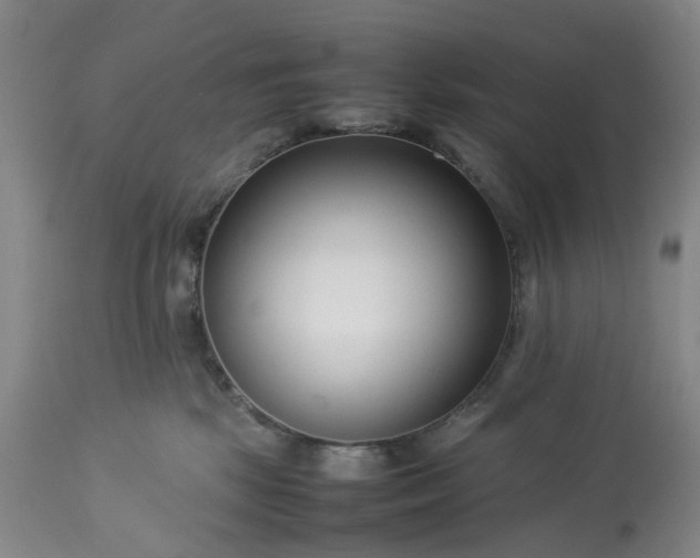 X0000113620281200910021836