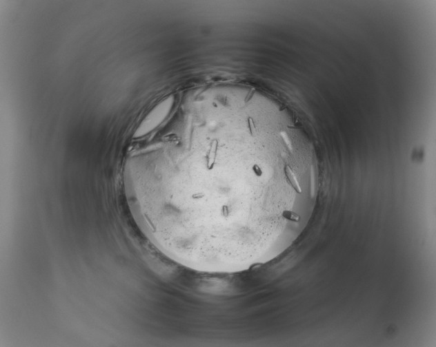 X0000113620285200910021836