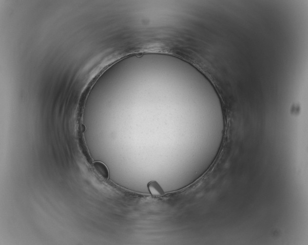 X0000113620290200910021835