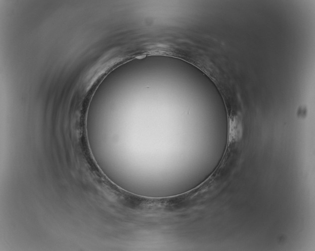 X0000113620291200910021835