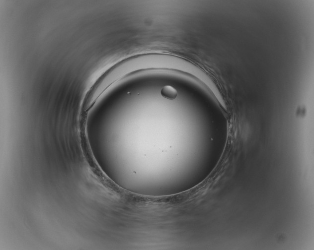 X0000113620292200910021835