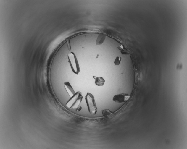 X0000113620294200910021835