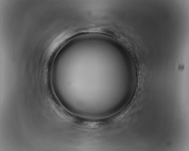 X0000113620295200910021835