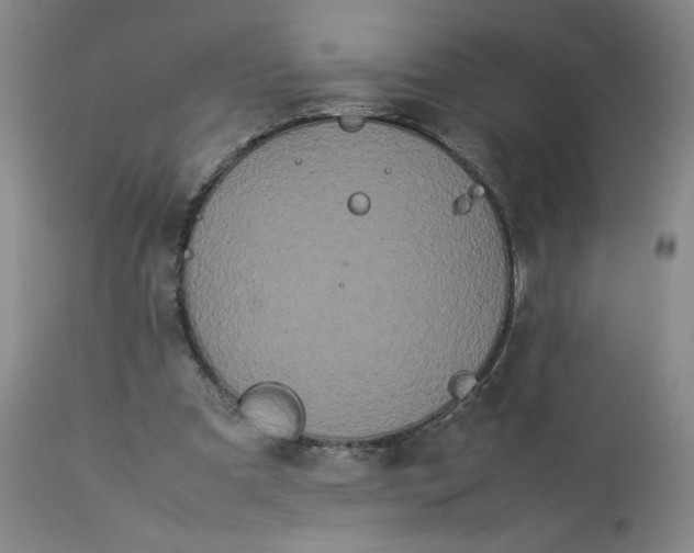 X0000113620297200910021835