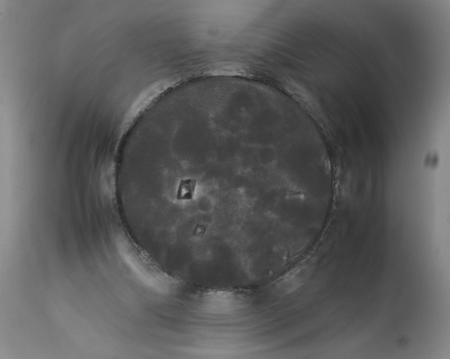 X0000113620298200910021835