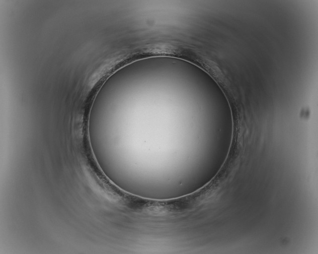 X0000113620299200910021835