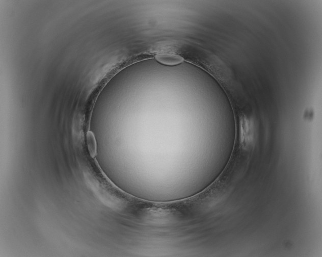 X0000113620300200910021835