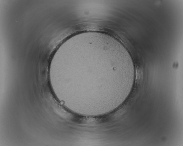 X0000113620301200910021835