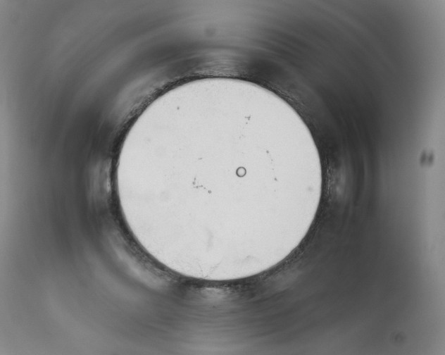 X0000113620302200910021835