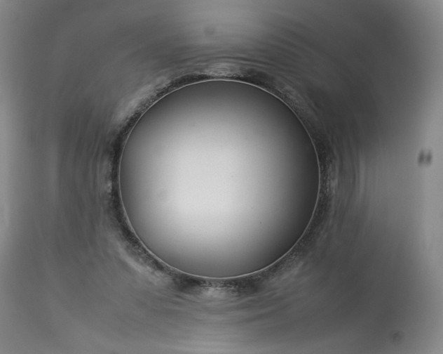 X0000113620303200910021835