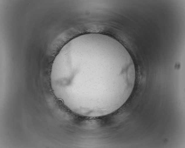 X0000113620307200910021835