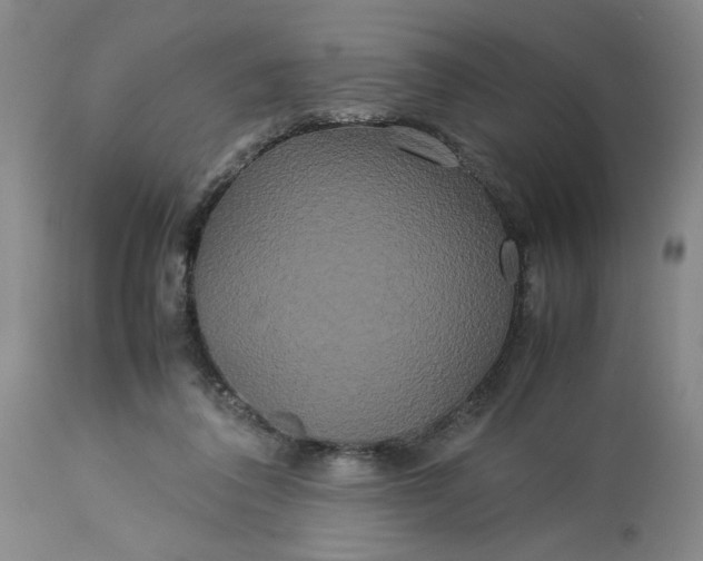 X0000113620308200910021835