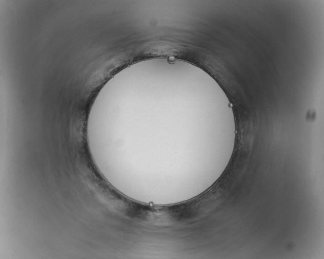 X0000113620309200910021835