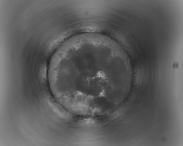 X0000113620310200910021835