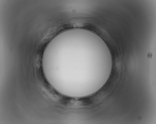 X0000113620311200910021835