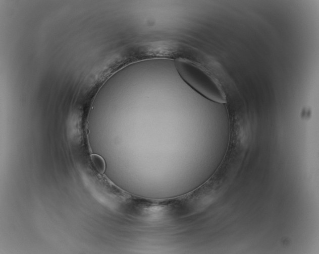 X0000113620312200910021835