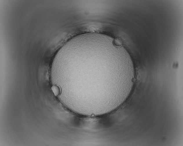 X0000113620313200910021835