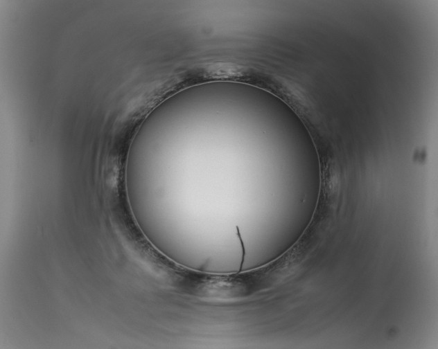 X0000113620315200910021835