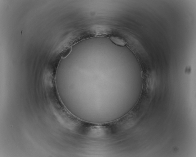 X0000113620316200910021835