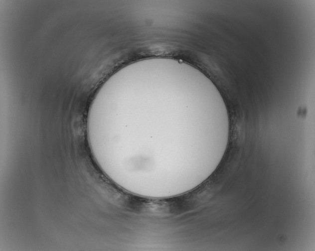 X0000113620317200910021835