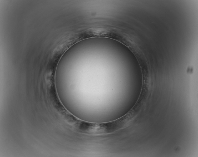 X0000113620319200910021835