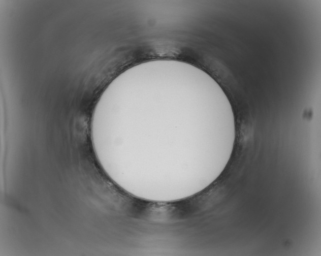 X0000113620321200910021835