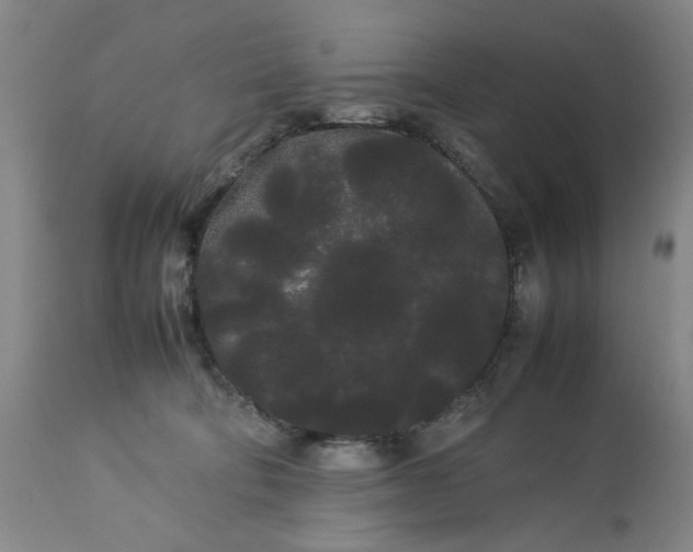 X0000113620322200910021835