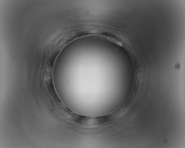 X0000113620325200910021835