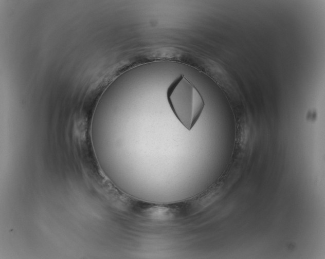 X0000113620326200910021835