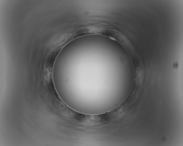 X0000113620329200910021834